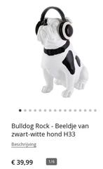 Prachtige Bulldog beeld met koptelefoon op,zie foto's, Verzamelen, Ophalen of Verzenden, Zo goed als nieuw