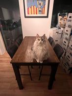 Bartafel + Barstoelen (Pronto Wonen) - Mango Hout, Huis en Inrichting, Tafels | Eettafels, Ophalen, 50 tot 100 cm, 100 tot 150 cm