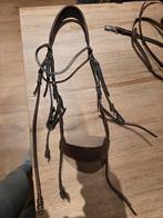 Qhp cross hoofdstel, Dieren en Toebehoren, Ophalen of Verzenden, Springen