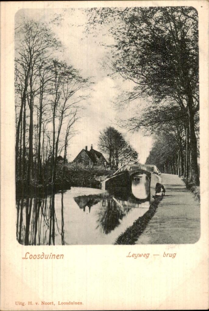 Loosduinen - Leyweg - brug, Ophalen of Verzenden, Voor 1920, Ongelopen, Zuid-Holland