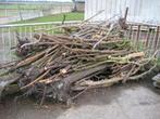 haardhout, 3 tot 6 m³, Ophalen, Stammen