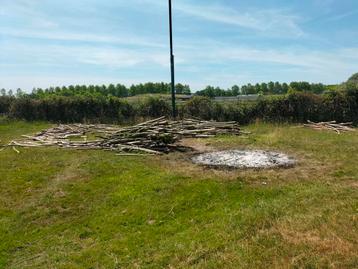 10 m³ wilgenhout (rondhout) te koop – hele partij beschikbaar voor biedingen
