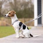 Tweedehands Anam Cara hondentuigje M donkerblauw zwartgrijs, Ophalen of Verzenden, Zo goed als nieuw