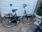 Gazelle furore damesfiets studenten/station fiets, Fietsen en Brommers, Fietsen | Dames | Damesfietsen, Ophalen, 47 tot 50 cm