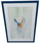 aquarel "ijsvogel" Christine Desender, Ophalen