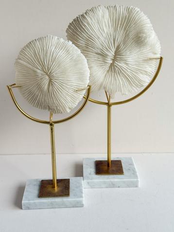 Faux Koraal op Standaard - Luxe Decoratie beschikbaar voor biedingen