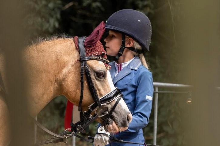 Animo Wedstrijdset 10 jaar, Dieren en Toebehoren, Paardrijkleding, Gebruikt, Springen, Ophalen of Verzenden
