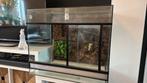 Terrarium 60-40-51, Dieren en Toebehoren, Reptielen en Amfibieën | Toebehoren, Ophalen, Gebruikt, Terrarium of Paludarium