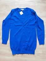 Kobalt blauw vest Anni Rolfi maat XL nieuw, Ophalen of Verzenden, Nieuw, Maat 46/48 (XL) of groter, Blauw