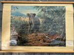 In de rimboe, Ophalen of Verzenden, Natuur en Biologie