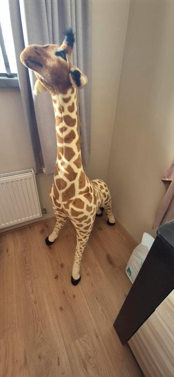 Grote Decoratieve Giraffe - 135cm knuffel  beschikbaar voor biedingen