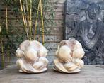 Yogiman orang malu verlegen man yogi massief houtsnijwerk xl, Huis en Inrichting, Woonaccessoires | Boeddhabeelden, Verburgt Vintage