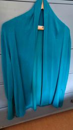 Jackpot vest maat L is 40 in een mooie kleur blauw, Ophalen of Verzenden, Zo goed als nieuw, Maat 38/40 (M), Blauw