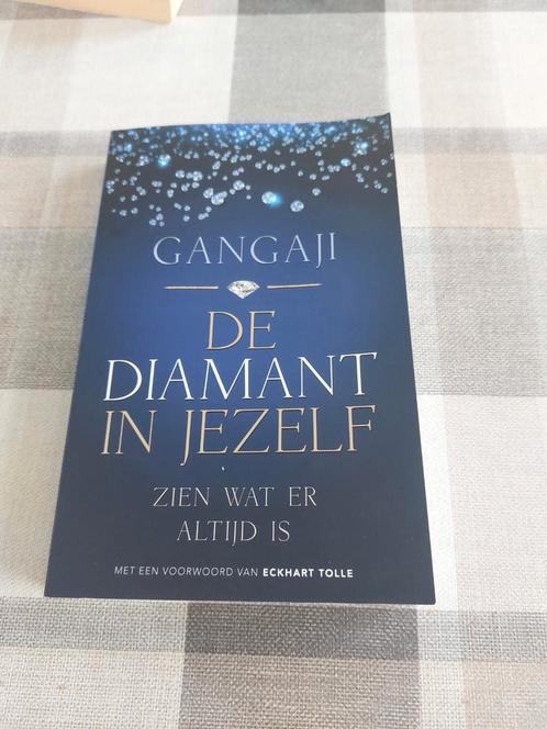 Gangaji - De diamant in jezelf, Boeken, Esoterie en Spiritualiteit, Zo goed als nieuw, Ophalen of Verzenden