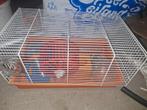 Hamsterkooi met toebehoren, Kooi, Minder dan 75 cm, Zo goed als nieuw, Ophalen