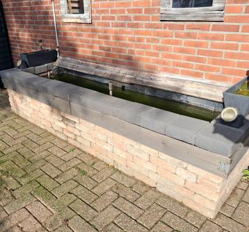 Complete leuke vijver met vissen  beschikbaar voor biedingen