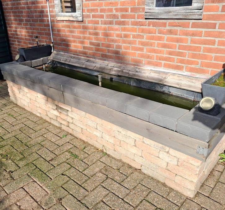 Complete leuke vijver met vissen, Dieren en Toebehoren, Vissen | Vijvervissen, Goudvis(sen)