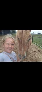 Bijrijder/verzorger aangeboden, Dieren en Toebehoren, Ophalen of Verzenden