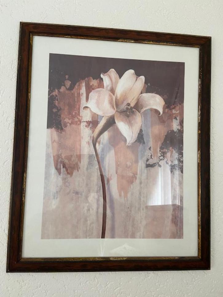 2 oude printen in lijst van bloemen aquarellen, Huis en Inrichting, Woonaccessoires | Wanddecoraties, Zo goed als nieuw, Ophalen of Verzenden