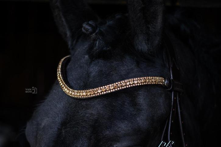 L'Anique Click&Go Frontriem Joy, Dieren en Toebehoren, Paarden en Pony's | Hoofdstellen en Tuigage, Nieuw, Dressuur, Ophalen of Verzenden