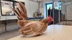 Serama haantje, Dieren en Toebehoren, Pluimvee, Mannelijk, Kip