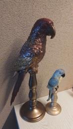 Papegaai groot hoogte 41 cm is van steen prijs 25.00 euro, Ophalen of Verzenden, Nieuw