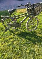 Groen cortina fiets 24 inch, Versnellingen, Minder dan 49 cm, Zo goed als nieuw, Ophalen
