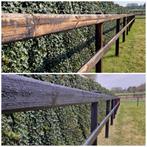 Carboleum, Onderhoudsolie, Omheining, Hekwerk, Onderhoud, Dieren en Toebehoren, Stalling en Weidegang, Weidegang, Sales@veldomheiningen.nl