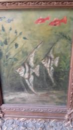 TK Aquarium J.H.Cieraad, Ophalen