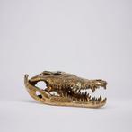 Krokodillenschedel op een standaard gepolijst brons, Ophalen of Verzenden, Brons