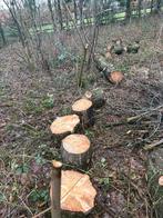 Gezaagd Dennen/Fijnspar hout - ca 30 cm, 3 tot 6 m³, Ophalen, Overige houtsoorten, Blokken