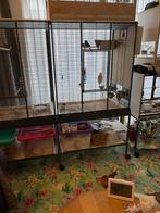 Grote  mooie kamervoliere, Ophalen of Verzenden, Gebruikt, Metaal, Volière