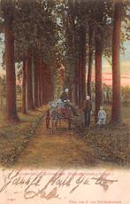 Roosendaal Eikendreef Burgerhoutsche Straat Kar Ezel, Ophalen of Verzenden, Voor 1920, Gelopen, Noord-Brabant