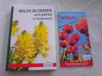 Wilde Bloemen & Planten in Nederland, Boeken, Natuur, Ophalen of Verzenden, Nieuw, Bloemen, Planten en Bomen, Neil Fletcher