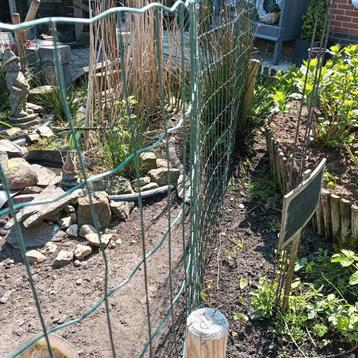 Gevraagd 5 meter gaas  beschikbaar voor biedingen