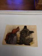 Hond met EEKHOORN. 1953, Ophalen of Verzenden, 1940 tot 1960, Overige thema's