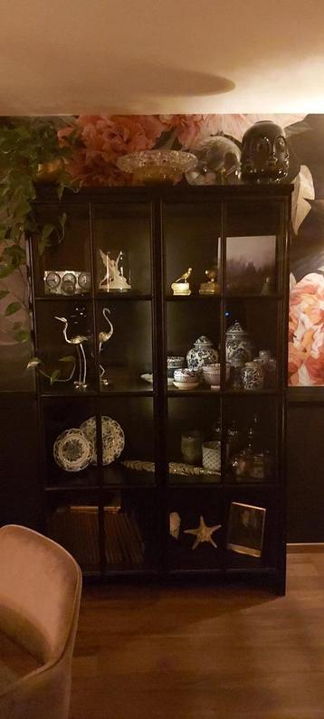 Stalen industriële vitrinekast beschikbaar voor biedingen