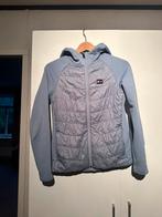 Tommy hilfinger equestrian, Dieren en Toebehoren, Paardrijkleding, Ophalen of Verzenden, Zo goed als nieuw, Dressuur, Bovenkleding