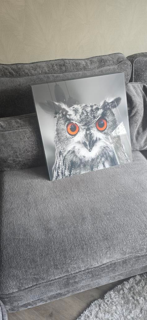 Schilderij glas 50cmx50cm vier verschillende., Ophalen, 50 tot 75 cm, Zo goed als nieuw, Schilderij