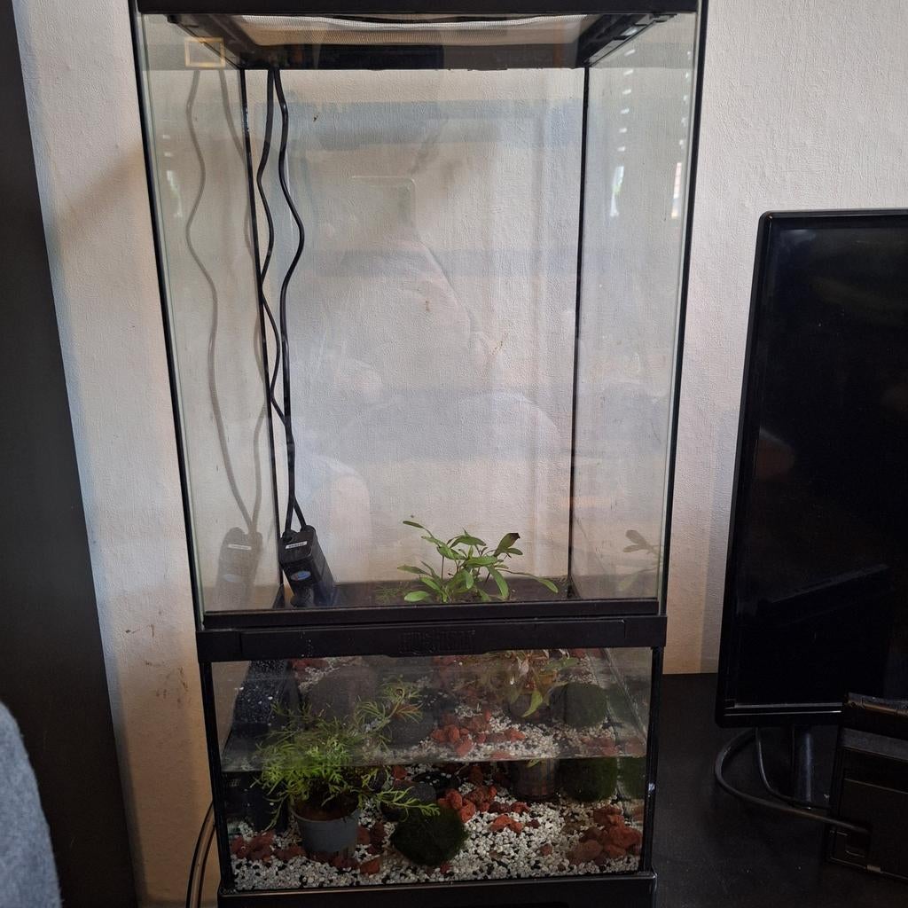 Zo goed als nieuwe exo terra terrarium, Dieren en Toebehoren, Reptielen en Amfibieën | Toebehoren, Ophalen, Zo goed als nieuw