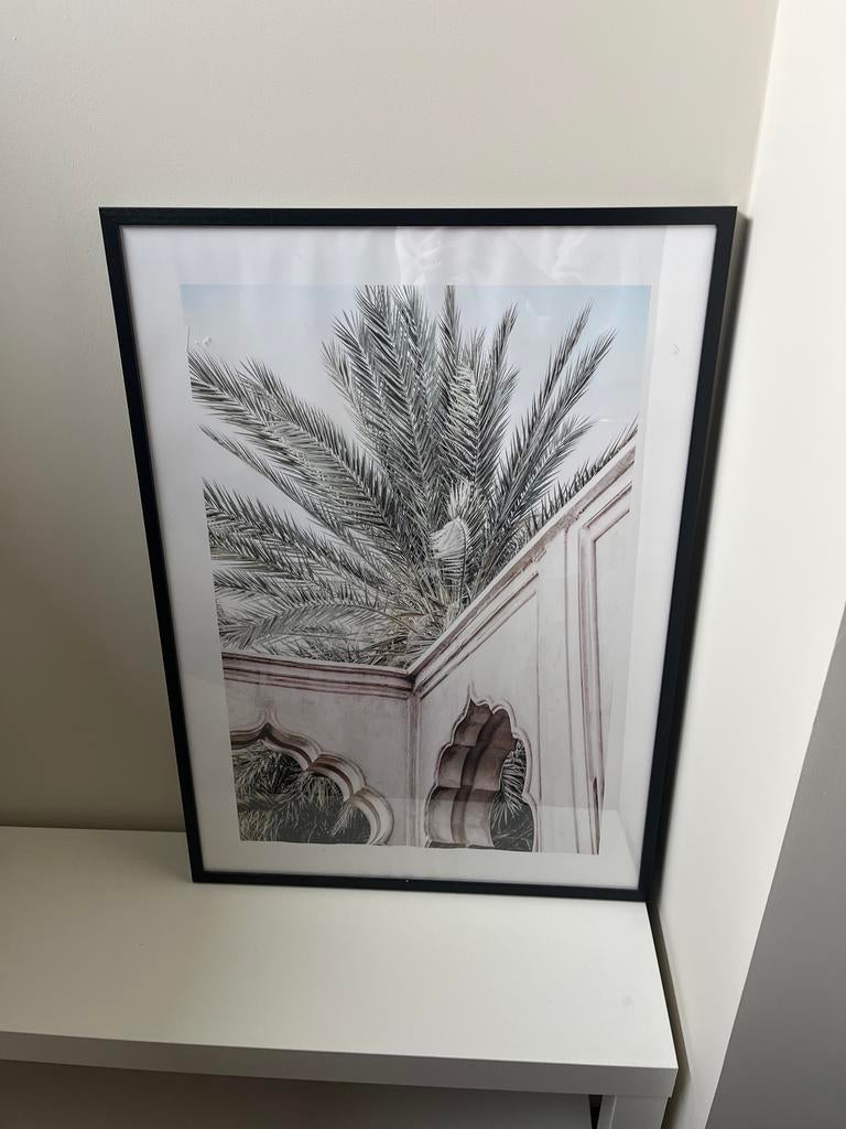 Desenio Schilderij met Palmboom, Ophalen, Zo goed als nieuw, Schilderij, Minder dan 50 cm