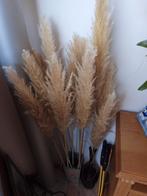 pluimen, Ophalen, Gebruikt