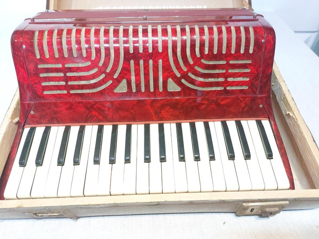 Rossini Accordeon - Rood, Gebruikt, Muziek en Instrumenten, Accordeons, Overige merken, Gebruikt, Overige formaten, Toetsaccordeon