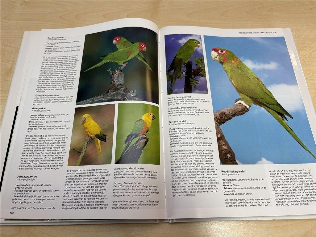 Papegaaien en Parkieten — 200 Soorten in Woord & Beeld, Boeken, Ophalen of Verzenden, Zo goed als nieuw, Vogels