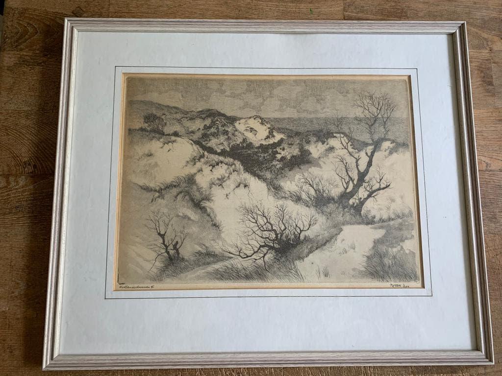 Grote ets Peter Cox Hollandse duinen II in lijst, Ophalen of Verzenden