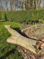 Notenhout en appelhout te koop, Tuin en Terras, Haardhout, 3 tot 6 m³, Ophalen, Overige houtsoorten, Stammen