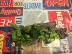 Mooi stuk hout voor het aquarium met frisse Anubias planten., Ophalen of Verzenden, Tak, Plant, Rots of Steen