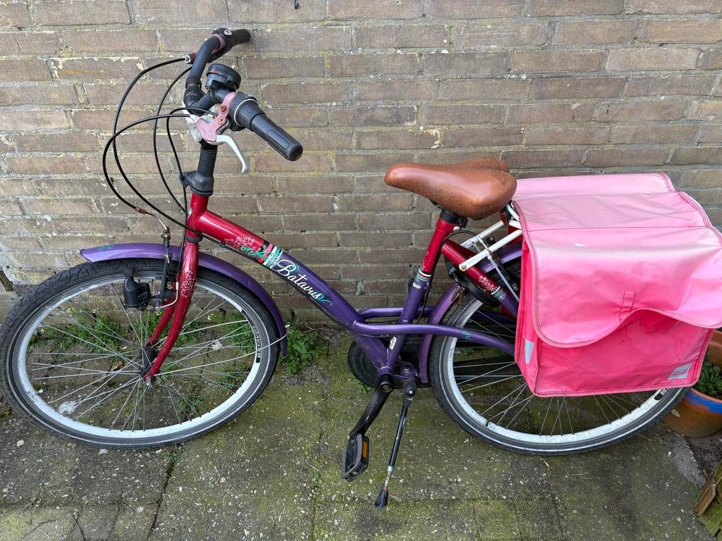 Meisjesfiets Batavus - Remmen en verlichting nakijken, Ophalen of Verzenden, Gebruikt, 24 inch, Handrem