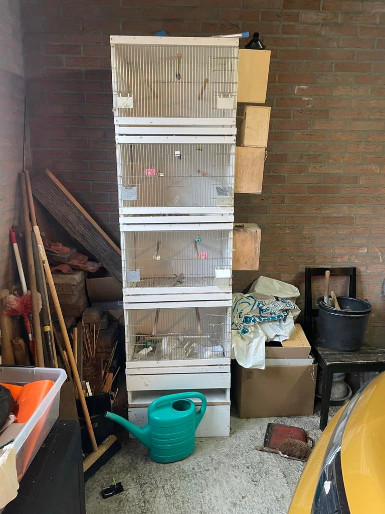 Vogel kooi, Dieren en Toebehoren, Ophalen of Verzenden, Zo goed als nieuw, Hout, Broedkooi of Kweekkooi