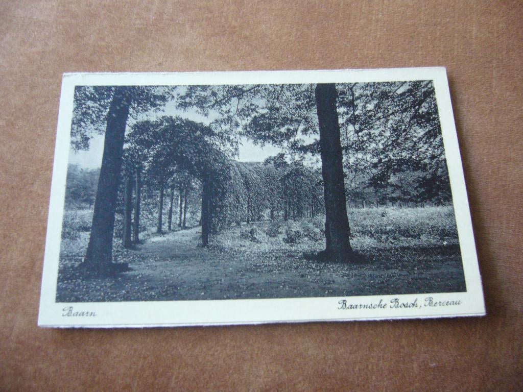 BAARN  =  BAARNSCHE BOSCH - BERCEAU, Verzamelen, Ansichtkaarten | Nederland, Ophalen of Verzenden, 1920 tot 1940, Ongelopen, Utrecht